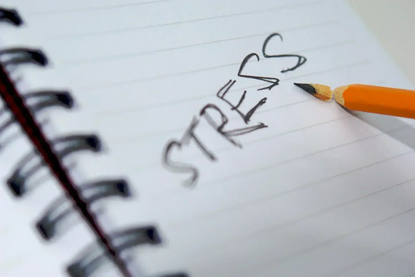 Les différents types de stress : Ami ou ennemi ?