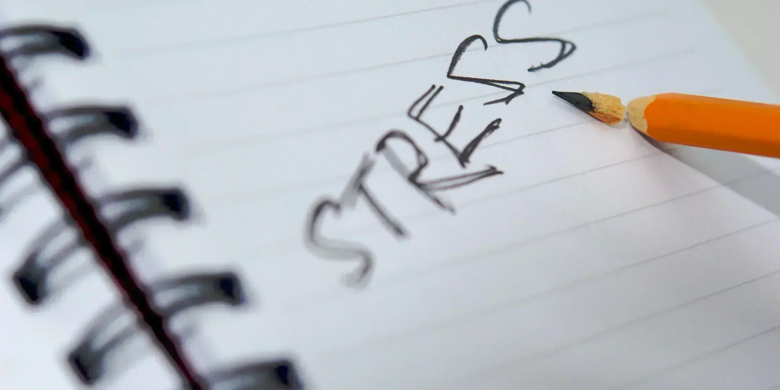 Les différents types de stress : Ami ou ennemi ?