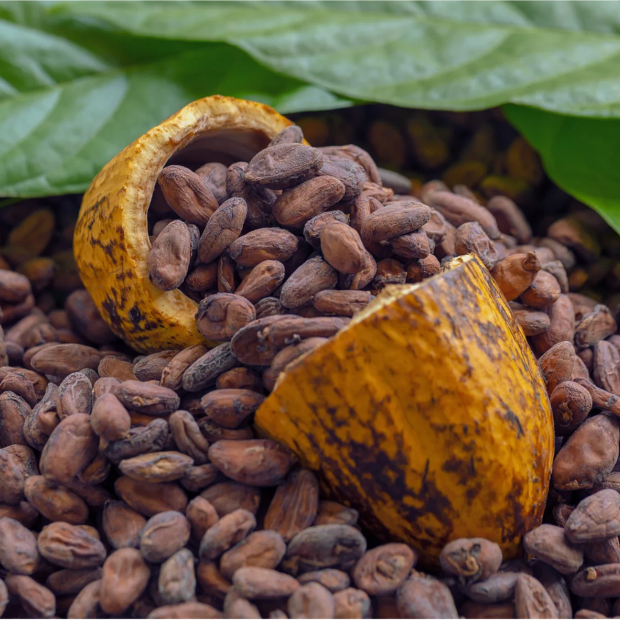 Fèves de cacao dans une cabosse de cacao ouverte. Le cacao a un pouvoir destressant naturel. La mission de Charlidéliss ? Le décupler.