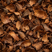 Écorces de fèves de cacao torréfiées en gros plan