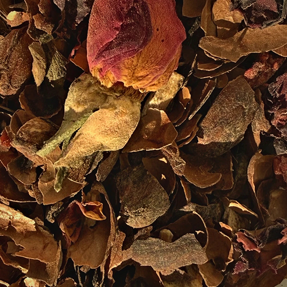 Écorces de cacao, framboise, pétales de rose et racine de bardane en gros plan