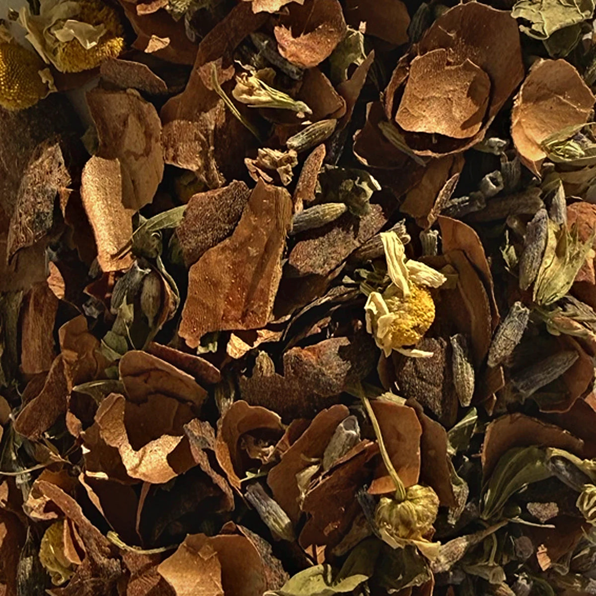 Écorces de cacao, fleurs de lavande, camomille et feuilles de mélisse en gros plan