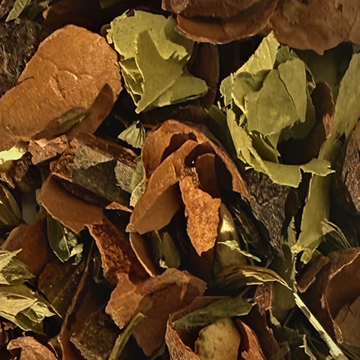 Écorces de cacao, écorces d'orange, cannelle et feuilles de mélisse en gros plan